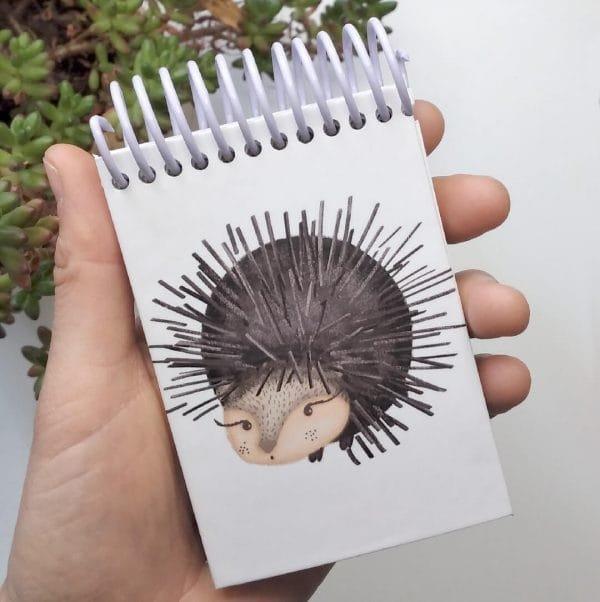 MINI | Pinchudo
