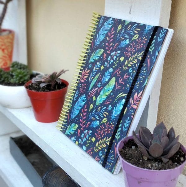 AGENDA PERPETUA | Plumas - Imagen 3