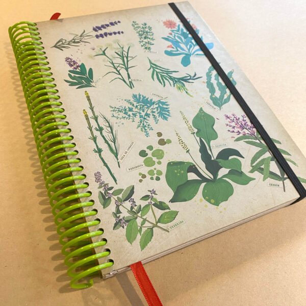 CUADERNO | Yuyos Día