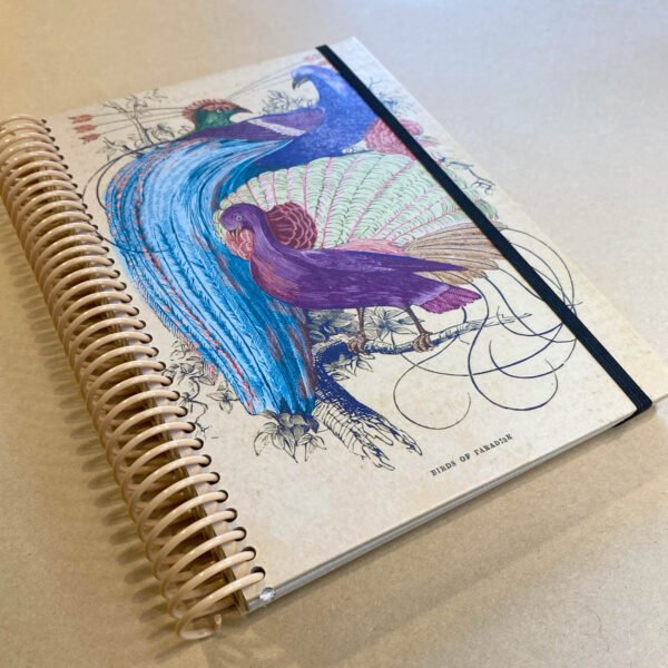 CUADERNO | Aves del Paraiso