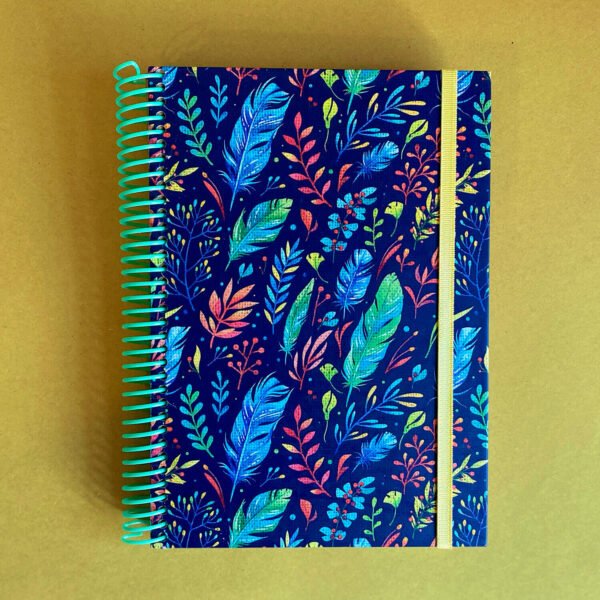 AGENDA | Plumas