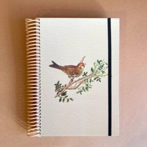 AGENDA | Pajarito en Rama