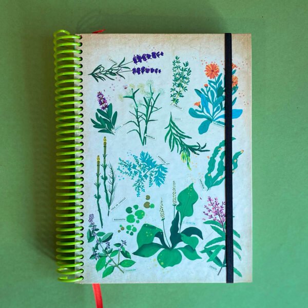 CUADERNO | Yuyos Día - Imagen 3